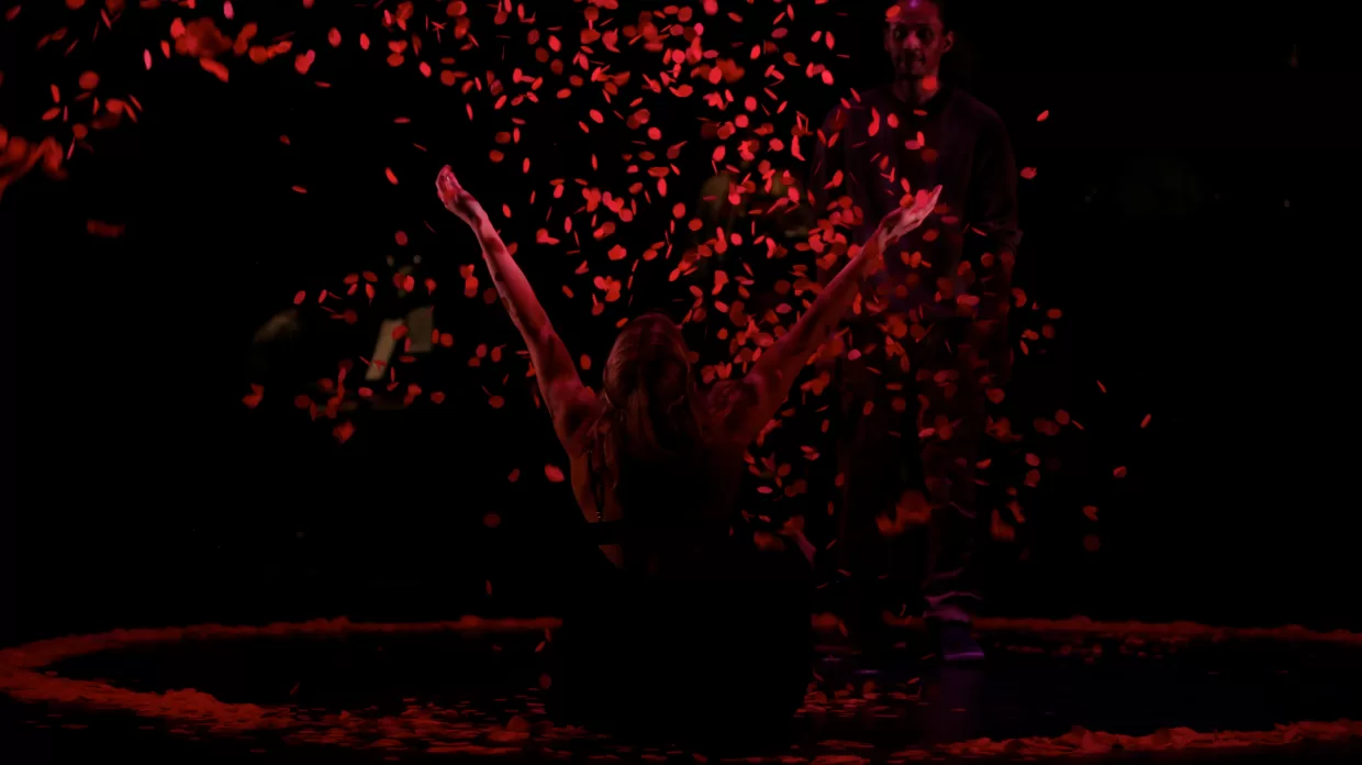 ZooNation: Unplugged